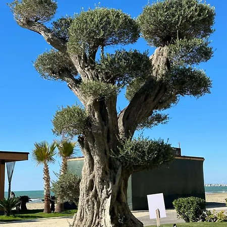 Ori-rent Διαμέρισμα *