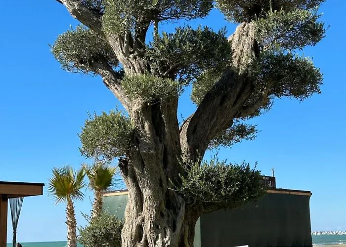 Ori-rent Lägenhet *